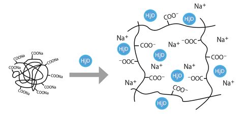 吸水|吸水性樹脂（SAP）の構造・原理および用途